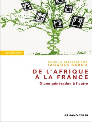 cover image of De l'Afrique à la France. D'une génération à l'autre.